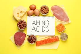Memahami Asam Amino: Mengapa Asam Amino Penting dan Bagaimana Cara Memasukkannya ke dalam Diet Anda