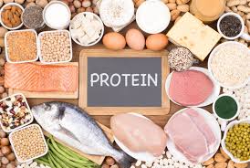 Pentingnya Asupan Protein untuk Kesehatan & Kesejahteraan - Konsultan Bedah  Saraf & Tulang Belakang