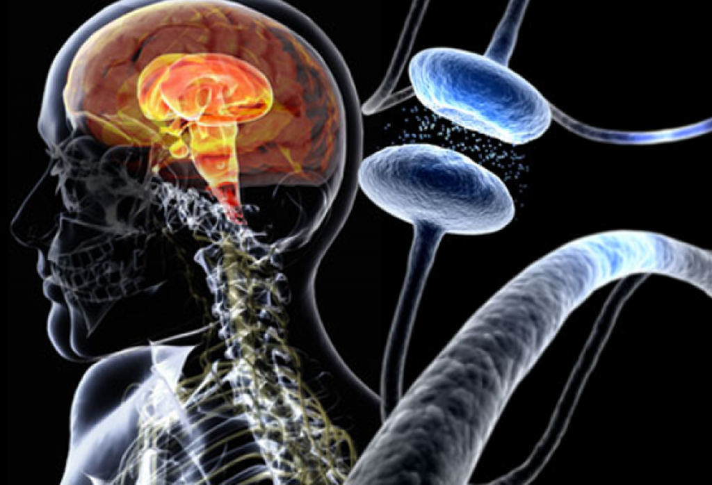Terapi Stem Cell pada Penyakit Parkinson - PT Prodia StemCell Indonesia