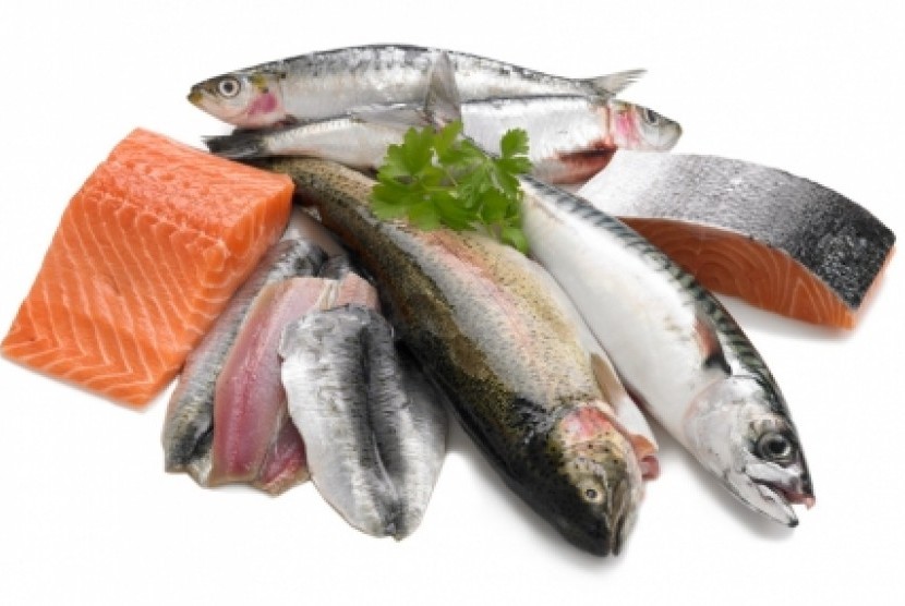 Harga Ikan Lebih Stabil dari Daging Sapi | Republika Online